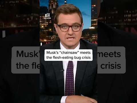 Musk’s ‘chainsaw’ meets the flesh-eating bug crisis