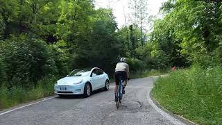 Burdy and car in Italy