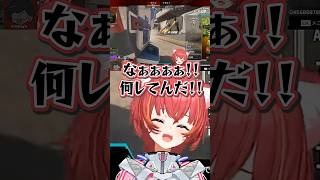 【3連おもしろクリップ】真面目にやってるけど奇しくもおもしろプレイになってしまう2人に笑いが止まらないねこたつ【猫汰つな/たかやスペシャル/たぬき忍者】