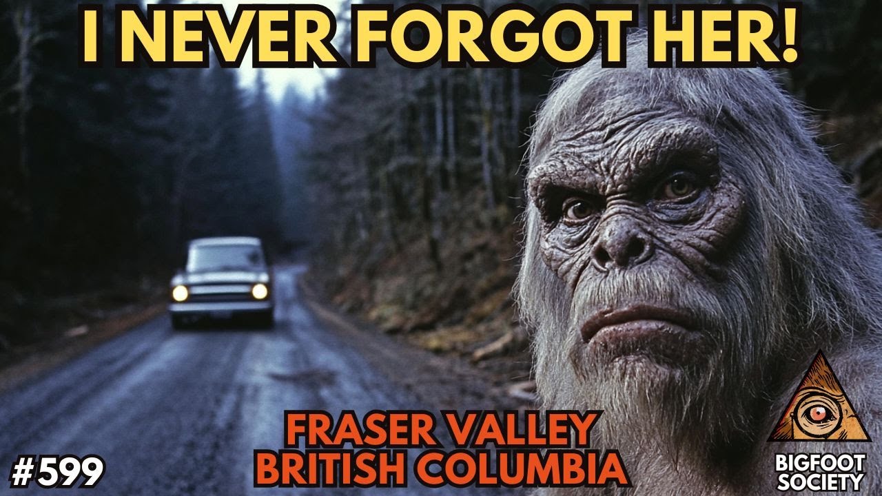 It Looked Down Into The Car At Me and I Was Trapped! | Yale, British Columbia