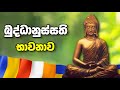 බුද්ධානුස්සති භාවනාව Buddhanussathi Bhawanawa Maha Karunika Wu