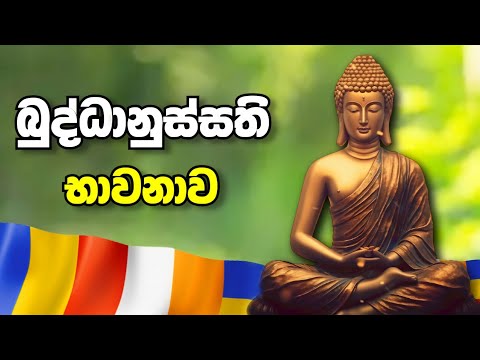බුද්ධානුස්සති භාවනාව - Buddhanussathi Bhawanawa | Maha Karunika Wu  | Sadaham Thilina