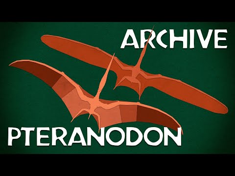 Pteranodon: YDAW Archive (Re-upload + Corrections)