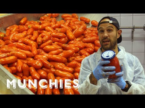 Frank Pinello Meets The Tomato Canning Masters of San Marzano