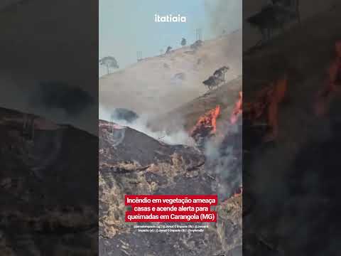 INCÊNDIO EM VEGETAÇÃO AMEAÇA CASAS E ACENDE ALERTA EM CARANGOLA
