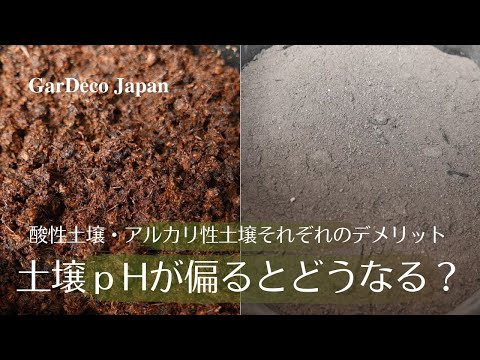 森林の土壌はそれほど酸性ではなくなりました