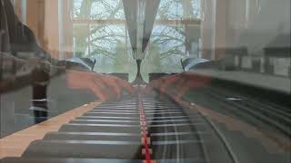 Met line: Looking back