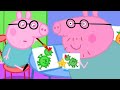 Baby Daddy Pig The Playgroup Star Peppa Pig Official Family Kids Cartoon