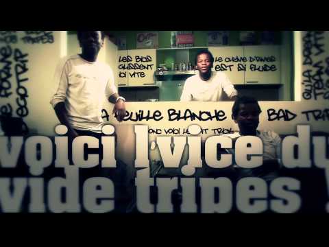 Ludus Libre - Vide Tripes feat. Pymp
