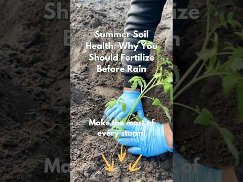 Summer Soil Health: Why You Should Fertilize Before Rain