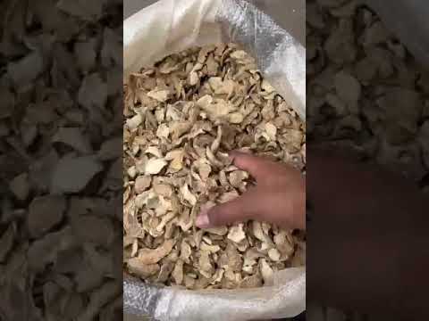 Off white indian and african ginger flakes dehydrated, packa...