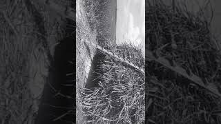 Download lagu Kurangi sambat akehi niat hasil tidak akan berkhianat mp3 Download lagu Kurangi sambat akehi niat hasil tidak akan berkhianat mp3