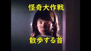 怪奇大作戦 ｢散歩する首｣～恐ろしい夜の山道！