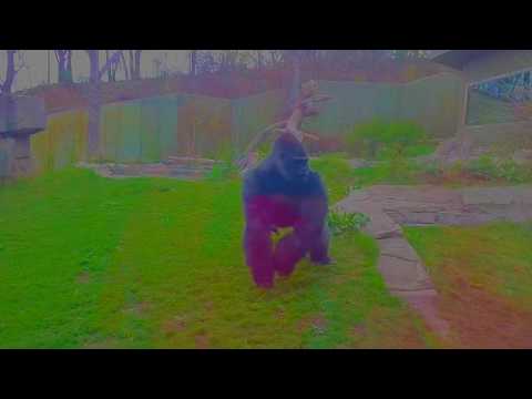 Conti - Zuch (Video by _l^l_,_l^l_)