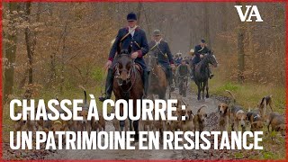 Chasse à courre : un patrimoine entré en résistance
