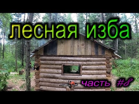 Лесная изба часть #8.