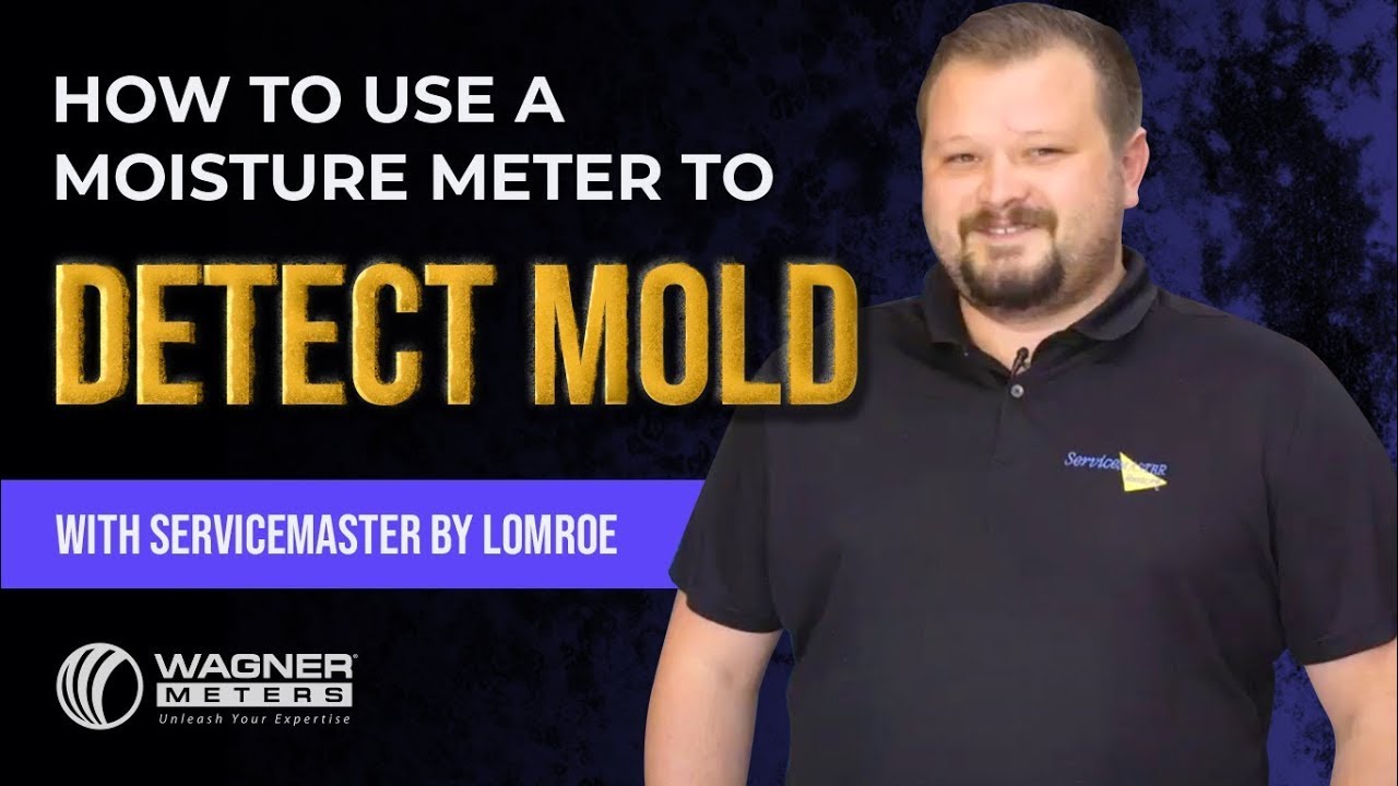 How a Moisture Meter Can Help Locate Mold in Wood
