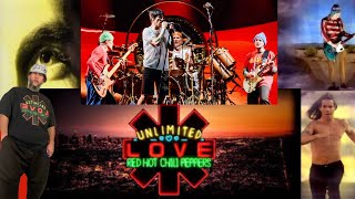Red Hot Chili Peppers Concert Experience at iTHINK Financial Amphitheatre, West Palm Beach