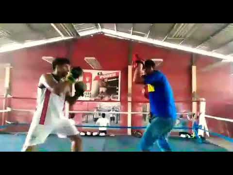 Osoo boxing club un día de mascotas con un excelente boxeador 🥊