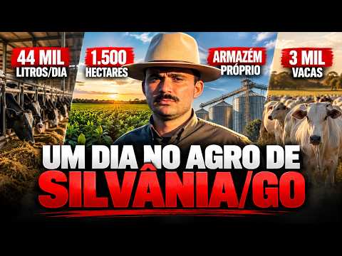 DO LEITE À SOJA: CONHEÇA DUAS OPERAÇÕES GIGANTES EM SILVÂNIA UM DIA ENTRE SOJA, LEITE E PECUÁRIA