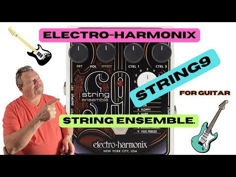 Electro-Harmonix STRING9 String Ensemble Machine, STRING9 image 9