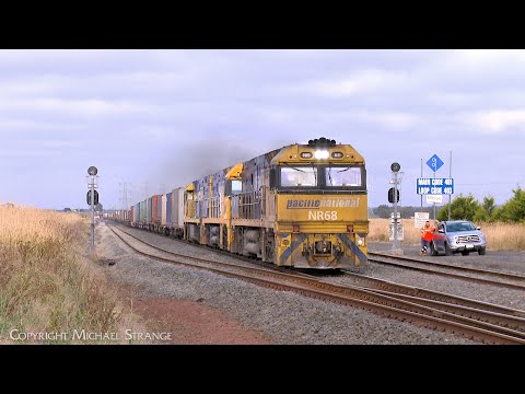 1PM5 Late Running Pacific National Intermodal Freight Train (9/2/2023) - PoathTV Australian Railways