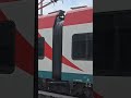 LEONARDO EXPRESS IN TRANSITO