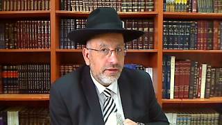 TANAKH 71 YONA DANS LE VENTRE DE LA BALEINE et la techouva de Ninve