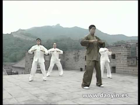 Qigong DA WU (The great dance of qigong)