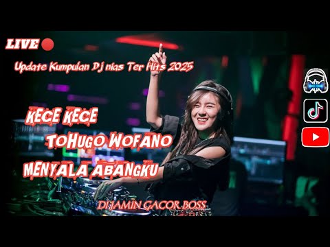 PLAYLIST KUMPULAN DJ NIAS || GACOR BOS || STYL3 2025 🎧🎧