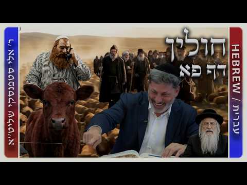 מרכז דף יומי - חולין דף פא. - ר' אלי סטפנסקי שליט"א
