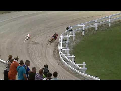 2021.06.18. 02 futam - Derby Day Sprint Kvalifikáció II. futam