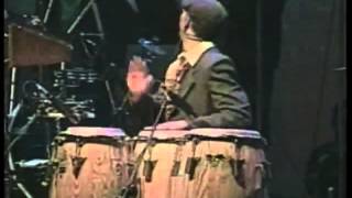 Chichi Peralta-procura seducirme