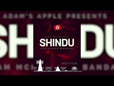 Adam Mchomvu - SHINDU (Official Audio)