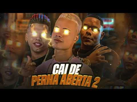 CAI DE PERNA ABERTA 2 - GORDINHO BOLADO, TROVÃO NO BEAT E MC DANINHO - (vai rolar uma festinha )