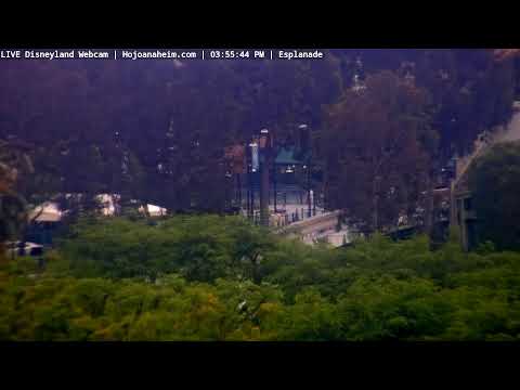 Live webcam of Disneyland Cam