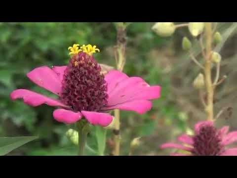 VLOG profil lengkap Desa kem kem  (LAU SIRABIT SIMALEM)