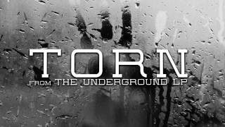 Torn - My Starving Lion