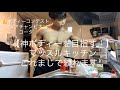 マッスルキッチン!!これを見るだけで理想のボディに!!(知らんけどw)