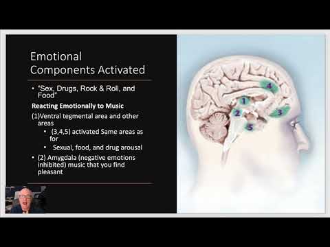 Introduction to World Music Lecture 01 What is Music