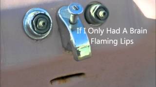 If I Only Had A Brain  Flaming Lips