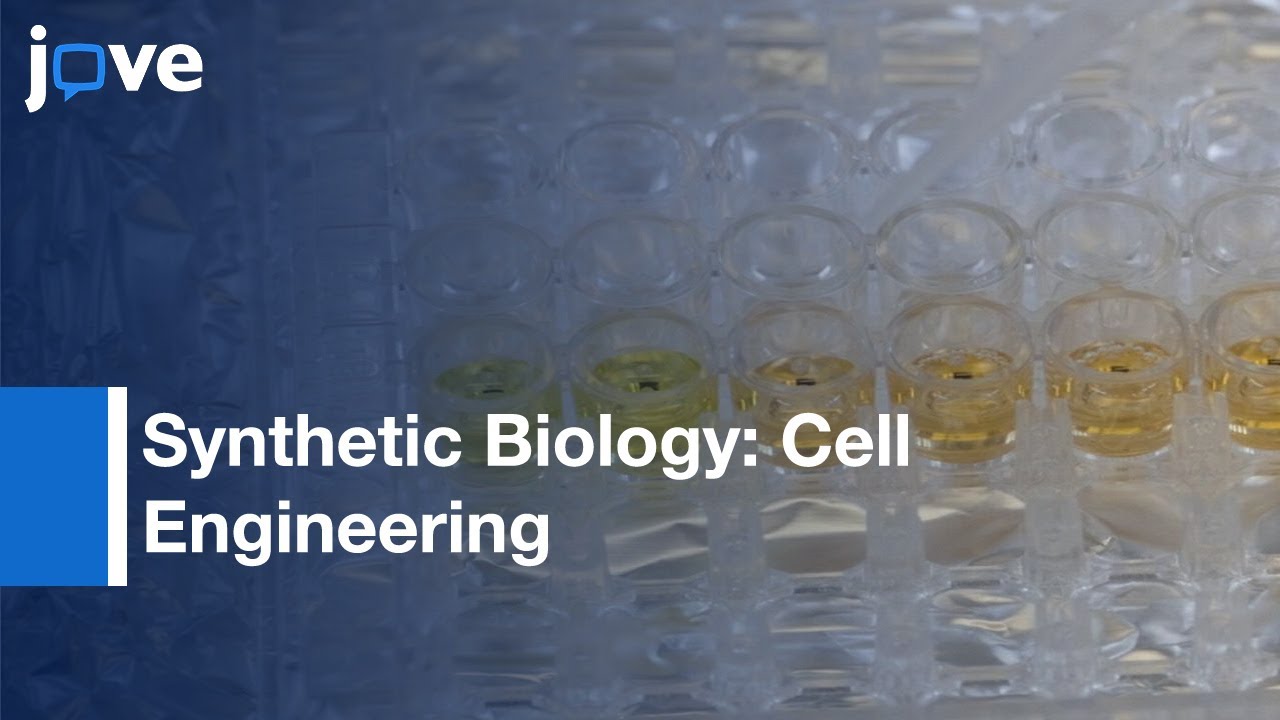 Engineering Living Cells That Interface With Programmable Materials