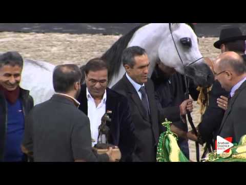 1st place-N.44 D SHAHLA - Paris 2015 - Junior Females Championship (Class CM8)