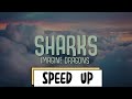 SHARKS Imagine Dragons Speed Up