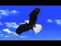  How to make a beautiful eagle flying in the sky