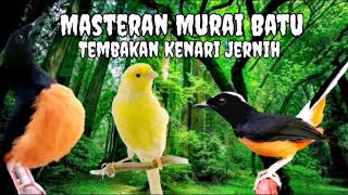 Download lagu Masteran Tembakan Jernih Kenari - Cocok Buat Murai Batu Anda (Jeda) mp3 Download lagu Masteran Tembakan Jernih Kenari - Cocok Buat Murai Batu Anda (Jeda) mp3