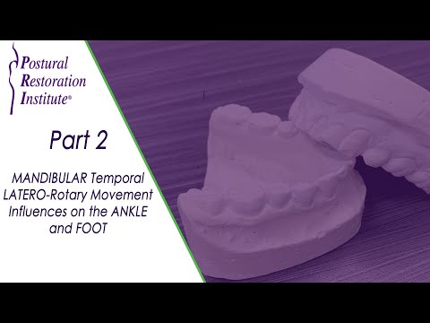Mandibular Temporal Latero–Rotary Movement Influences - Part 2