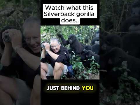 He Tries not to Move a Muscle..  #wildlife