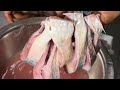 Bharuch के नर्मदा नदी का Famouse Modar Fish देखिए कैसे �