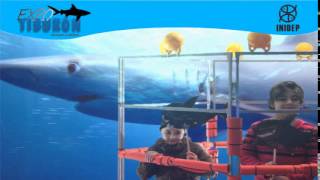 DIA 2 Expo Tiburon187